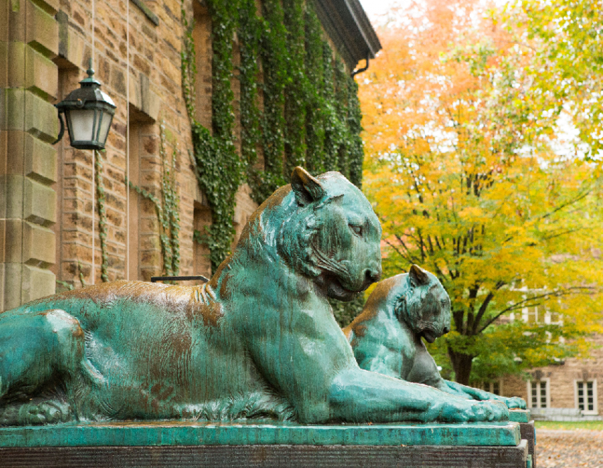 Two tiger statues in front of Nassau Hall