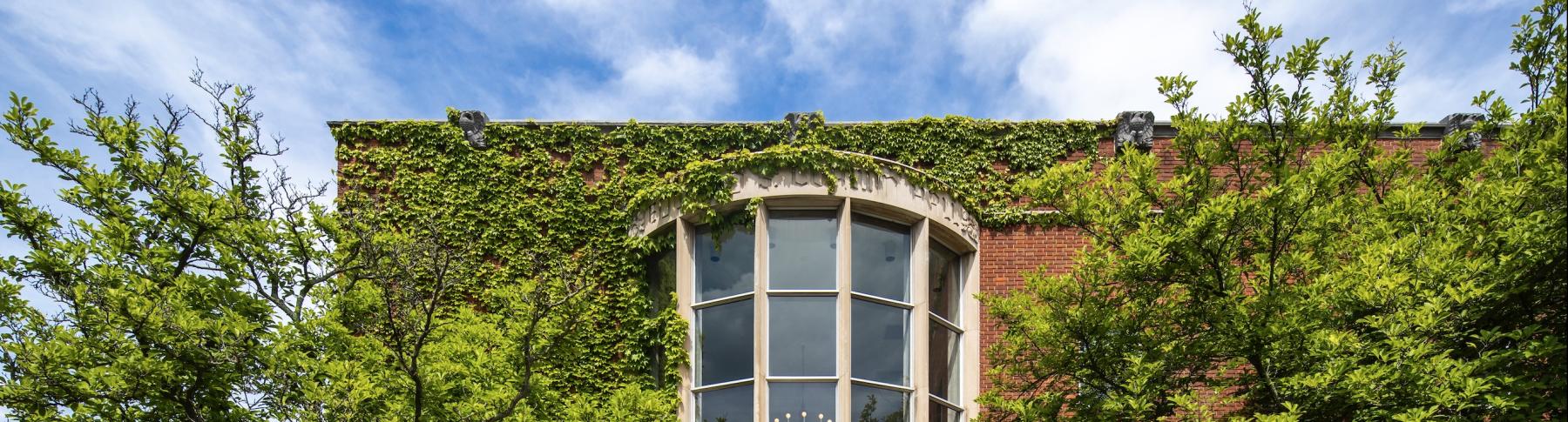 corwin hall covered in ivy